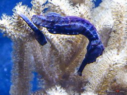 Tiergarten Schönbrunn am 23.03.2023